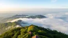 Dili Green Hill nơi của những tình yêu thiên nhiên