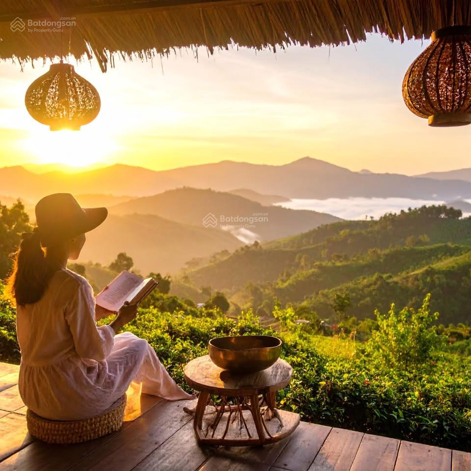 Dili Green Hill nơi của những tình yêu thiên nhiên Dili Green Hill nơi của những tình yêu thiên nhiên