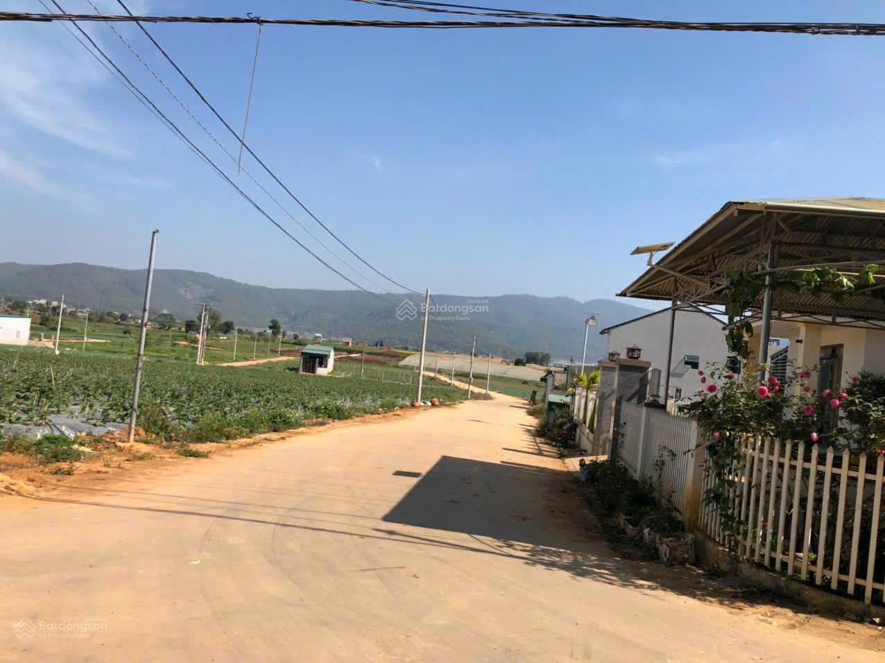 Đầu tư đất ven Đà Lạt đón sóng 2030 - chỉ 9xx triệu, pháp lý rõ ràng, sinh lời cao