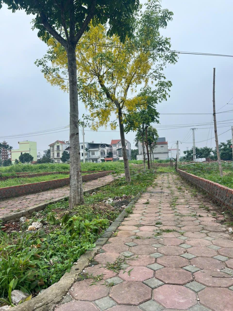 Cần bán B17, B18, B19, B23, B4 khu đấu giá Yên Sơn - Quốc Oai