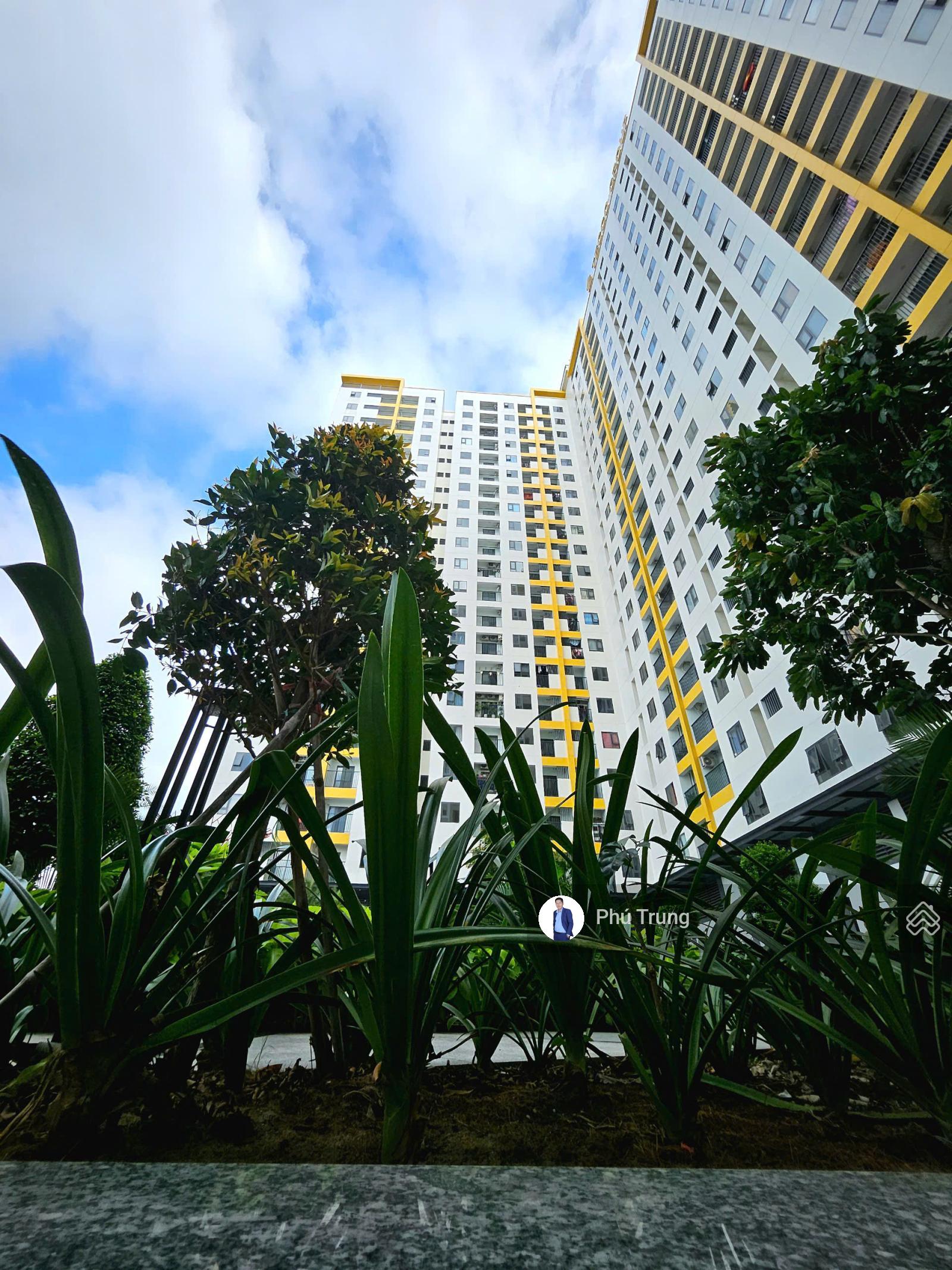 Tecco Felice Homes - Chung cư An Phú rổ hàng cho thuê ở ngay. LH: 0598 369 ***