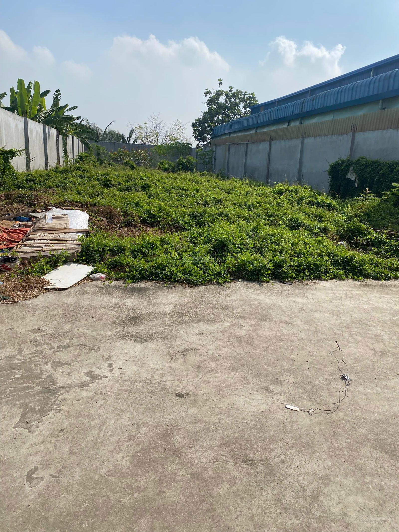 Chủ xuất ngoại cần bán gấp kho 1000m2 đường container giá rẻ