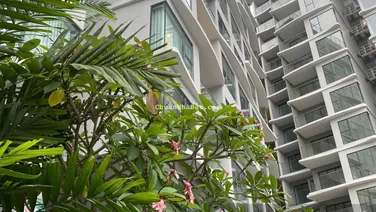 Rổ căn Centery 120.7m2 - Trả giãn 36th, 10tỷ750 kèm ô xe ở ngay