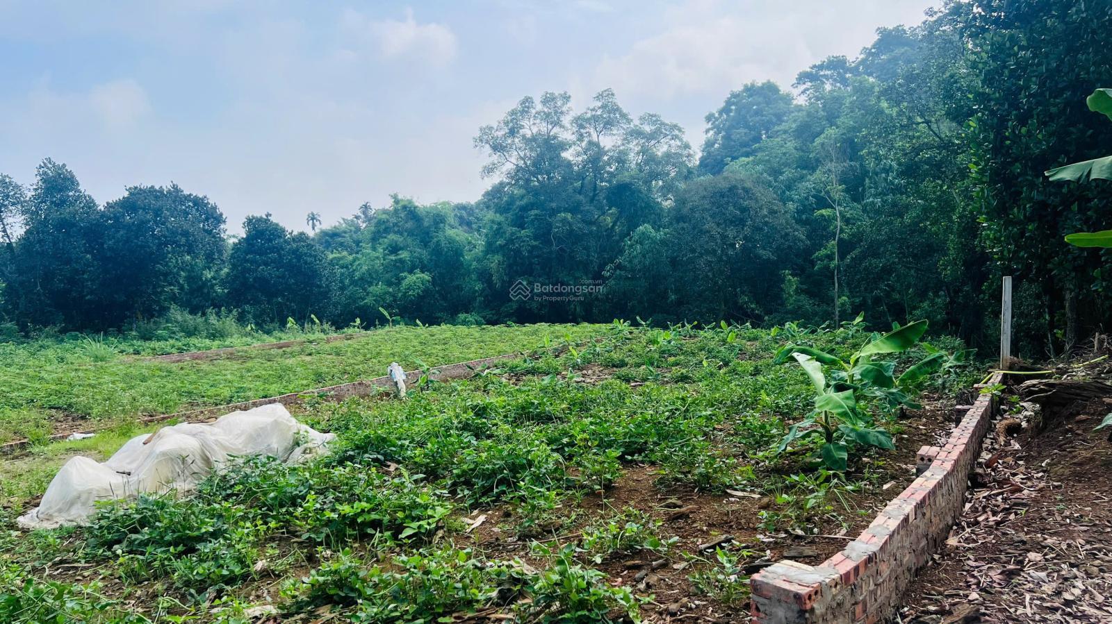 Mảnh đất 15m mặt tiền, view sông Đà, cách TL86 chỉ vài phút chạy xe tại Thuần Mỹ, Ba Vì, Hà Nội