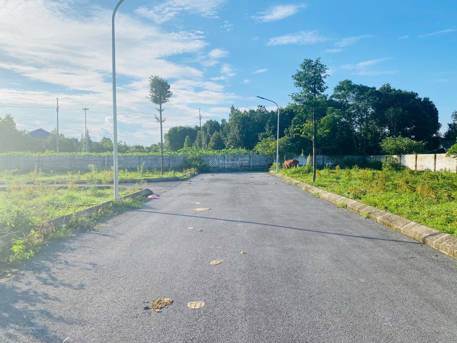 Bán đất sơn đông cổ đông , sơn Tây 118 m2 giá 2.2 tỷ Bán đất sơn đông cổ đông , sơn Tây 118 m2 giá 2.2 tỷ