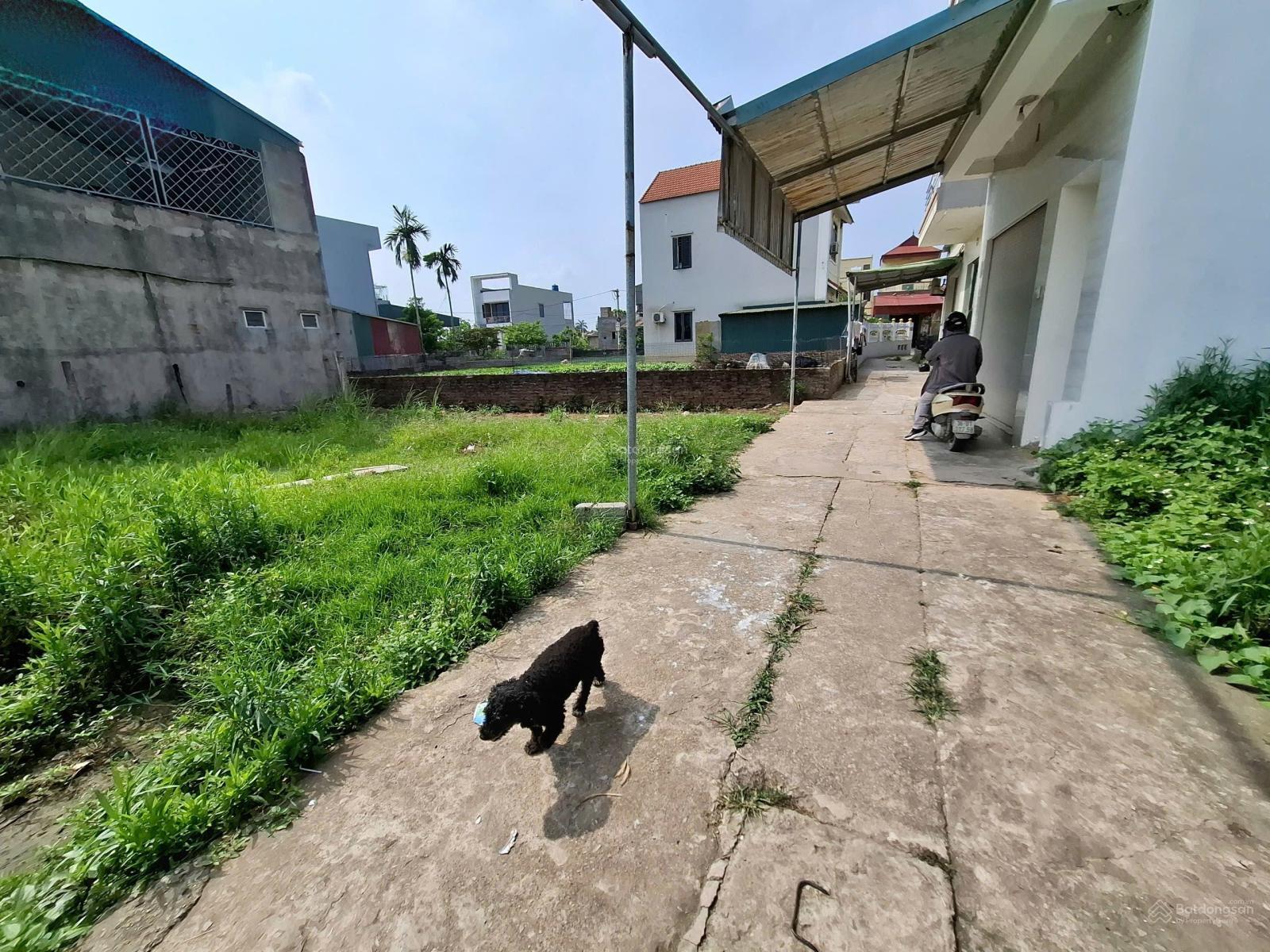 Chính chủ bán lô đất tại Thư Phú, 55.6m2