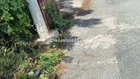 Chính chủ cần bán kho & vị trí đẹp & giá tốt