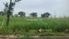 Chính chủ bán gấp nền Long Hậu Sài Gòn Village chỉ 2tyr1, SHR sang tên 80m2