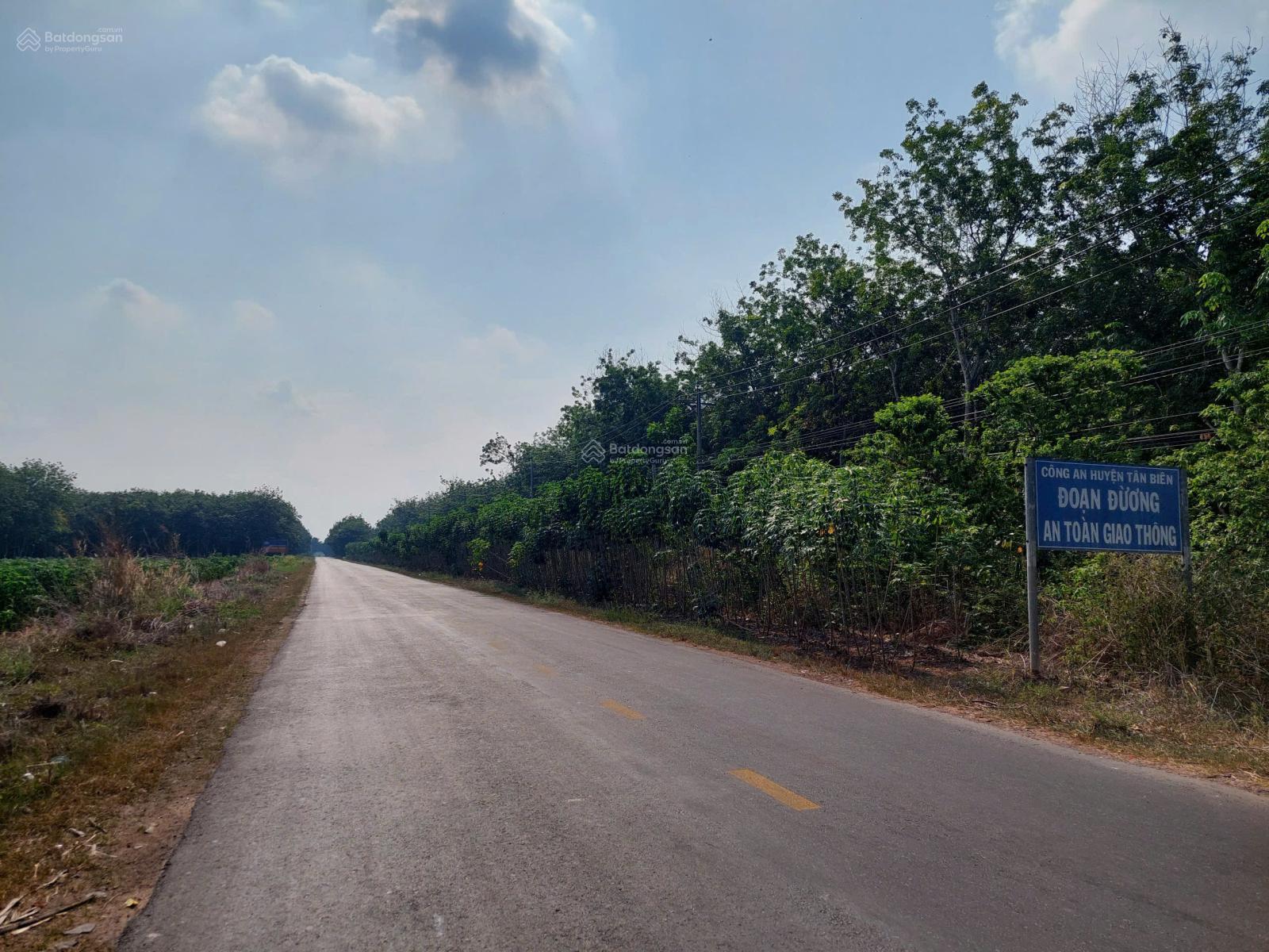 BÁN LÔ Mặt Tiền DT 783 ấp Thạnh Phước, xã Thạnh Bình, Tân Biên, Tây Ninh