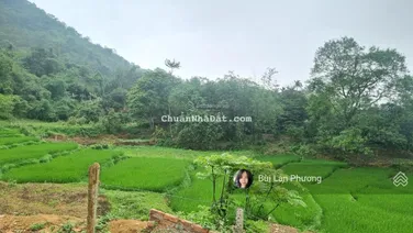 View đỉnh cao ruộng bậc thang Tây Bắc cách HN 40km 4,x tỷ, gần 989m2 400m2 thổ cư, LH: 0974 715 ***