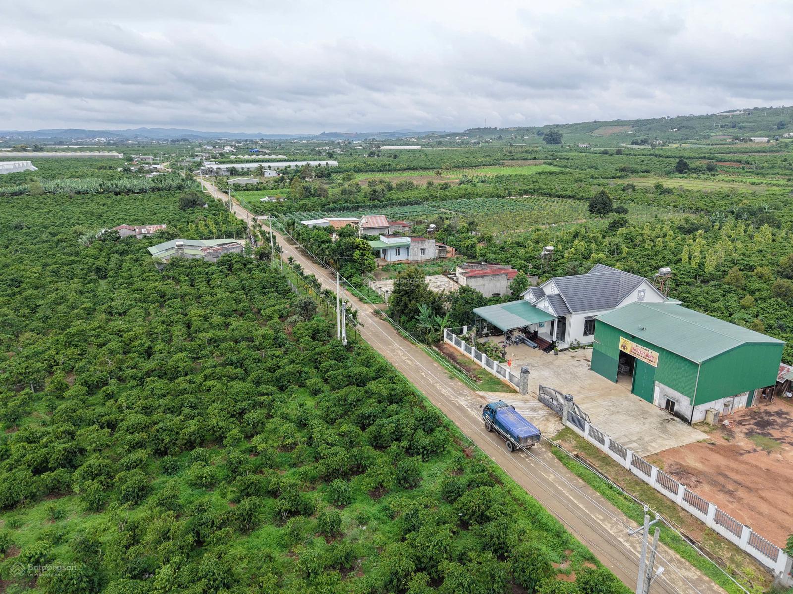 Chỉ 450 triệu có ngay gần 100m2 thổ cư gần Đà Lạt  Bao sổ, ô tô tới cửa