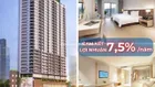 Căn hộ DQua suất chủ đầu tư giá F0, lợi nhuận cam kế 7.5% giá trị đầu tư, vận hành cho thuê hoặc ở