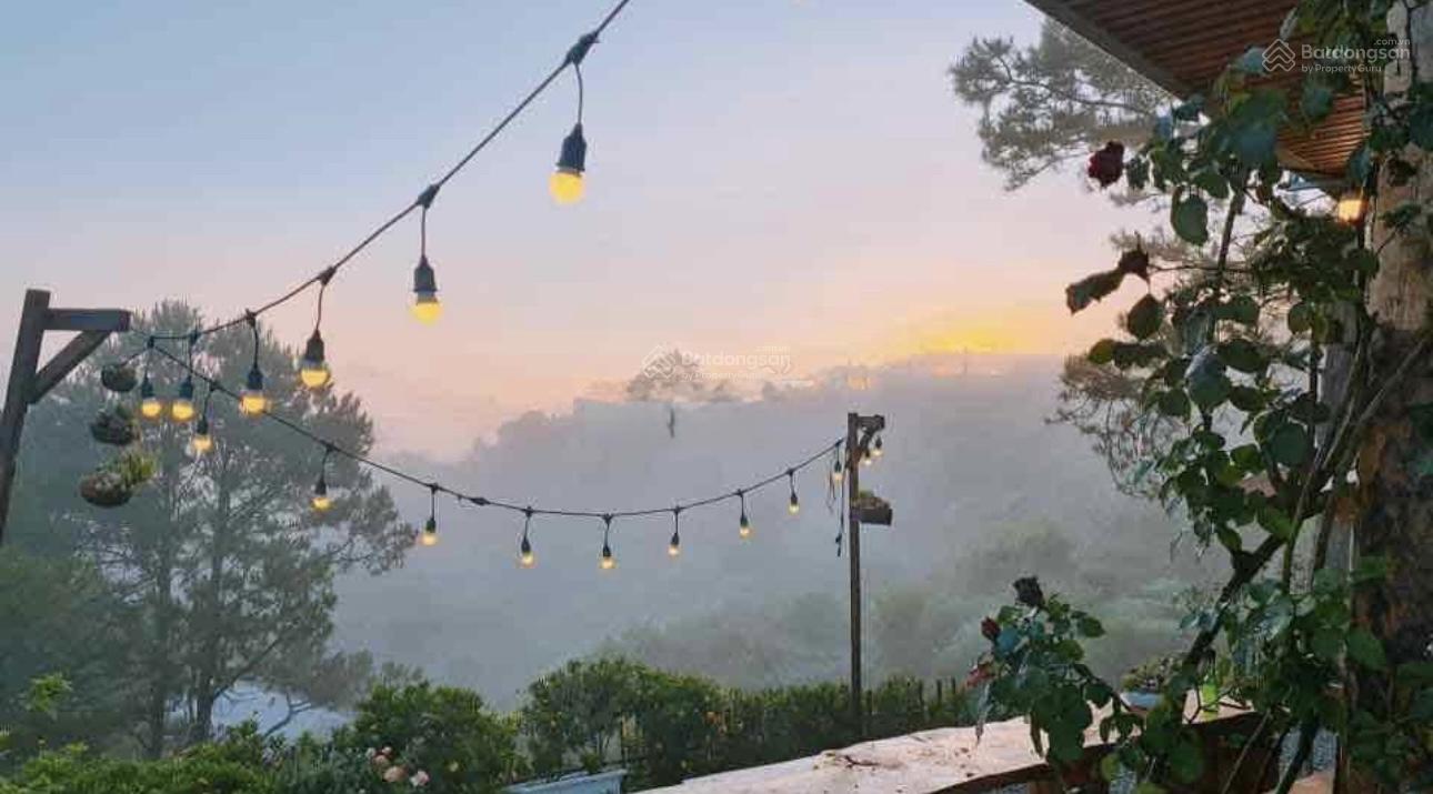 300m2 giá 950triệu đất vườn view sân mây cần bán gấp tặng luôn vườn hồng