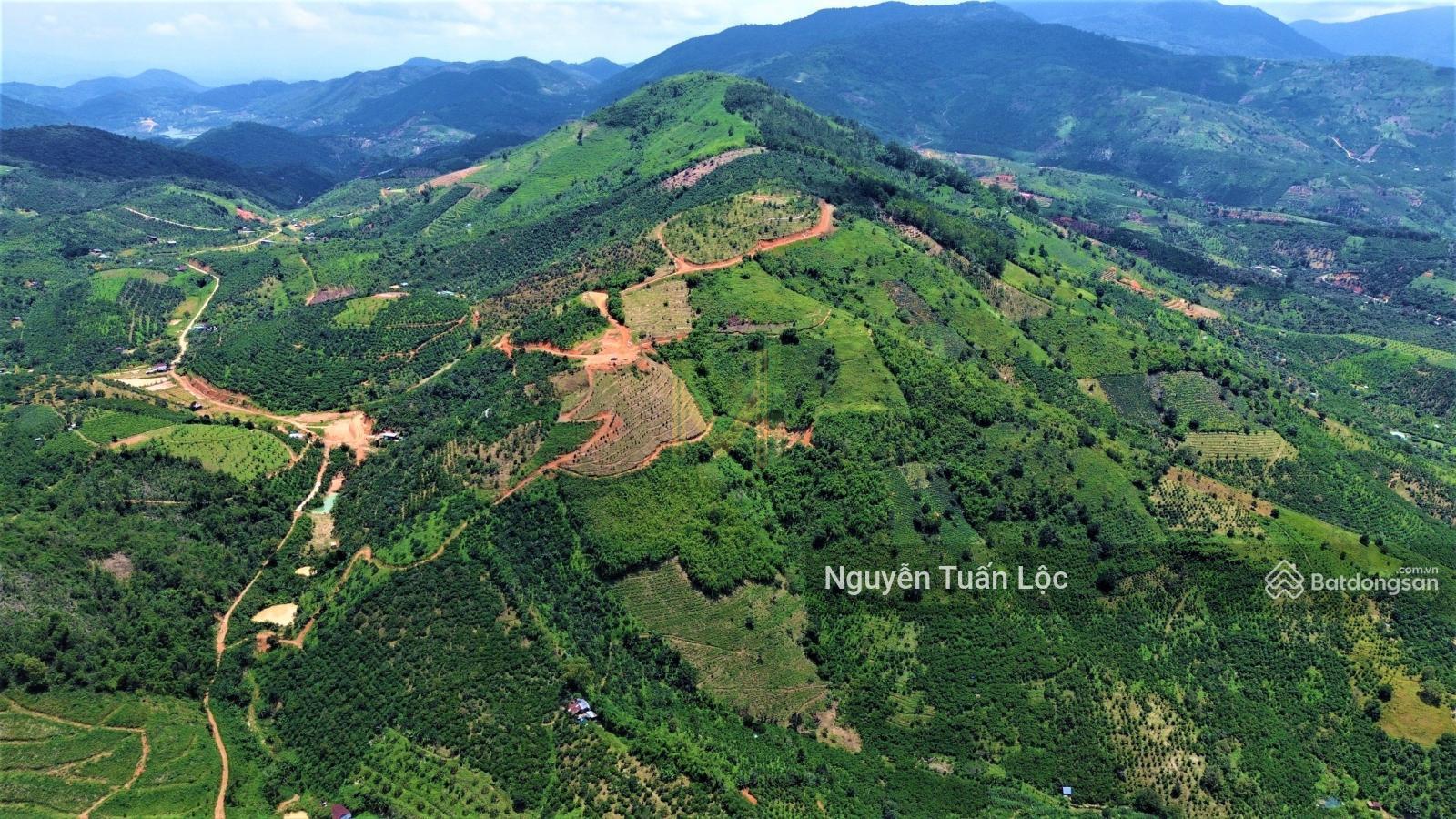 Chính chủ bán lô đất kim cương VIP 38 ha tại Bảo Lộc, Lâm Đồng chuyển full thổ cư, siêu view
