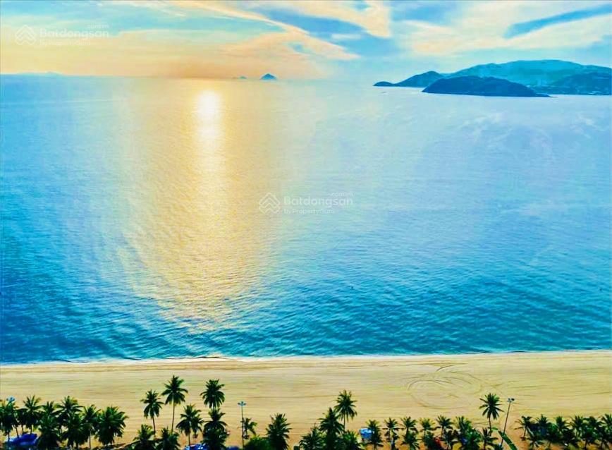 Dòng tiền cho thuê 60tr/ tháng ; Căn GÓC studio trực diện biển Trần Phú Mường Thanh 60 -- 3,6 tỷ.