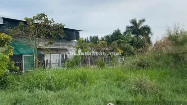 Cần tiền chạy chữa bán xã Long Hậu, Cần Giuộc, Long An, 108m2, 700 triệu