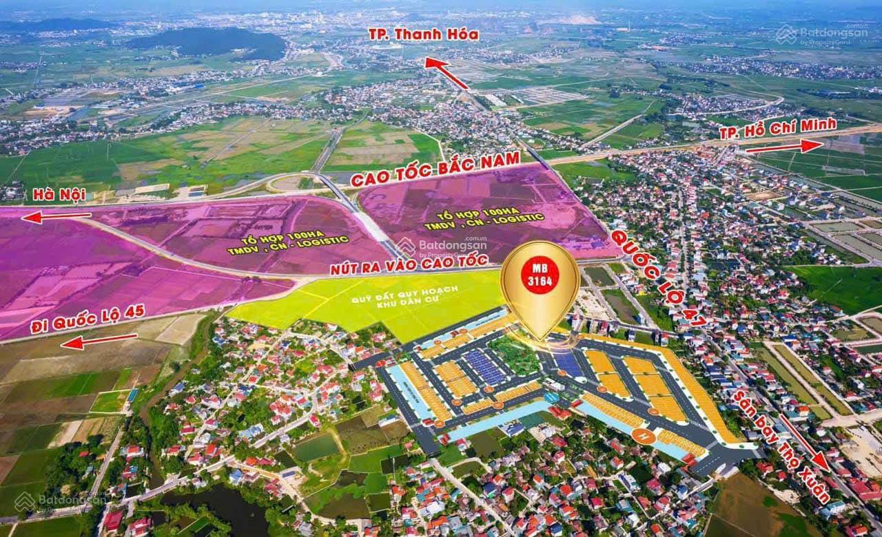 Chính chủ bán đất đấu giá MBQH 3164 phường Đông Sơn, TP Thanh Hoá Chính chủ bán đất đấu giá MBQH 3164 phường Đông Sơn, TP Thanh Hoá