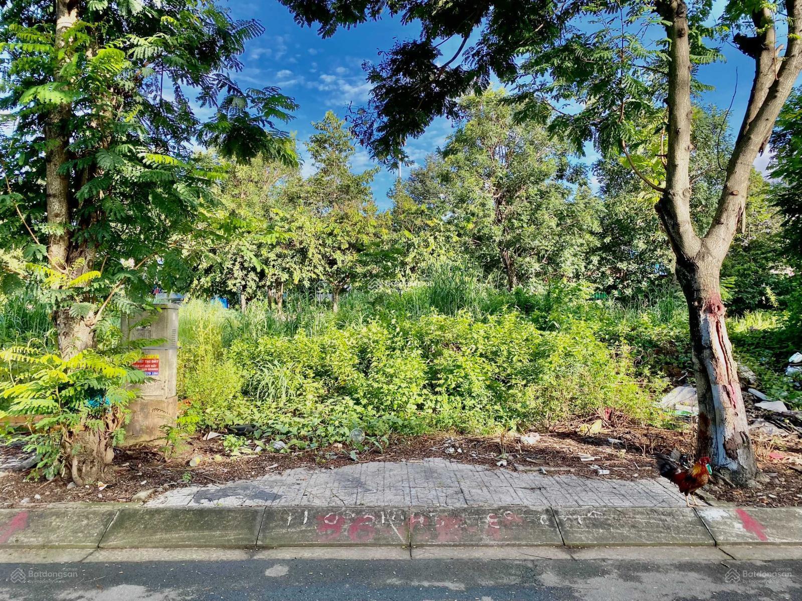 Bán đất nền sổ đỏ 5x20m hướng Đông Nam, sổ hồng riêng thuộc KDC Cát Lái giá 78tr/m2.