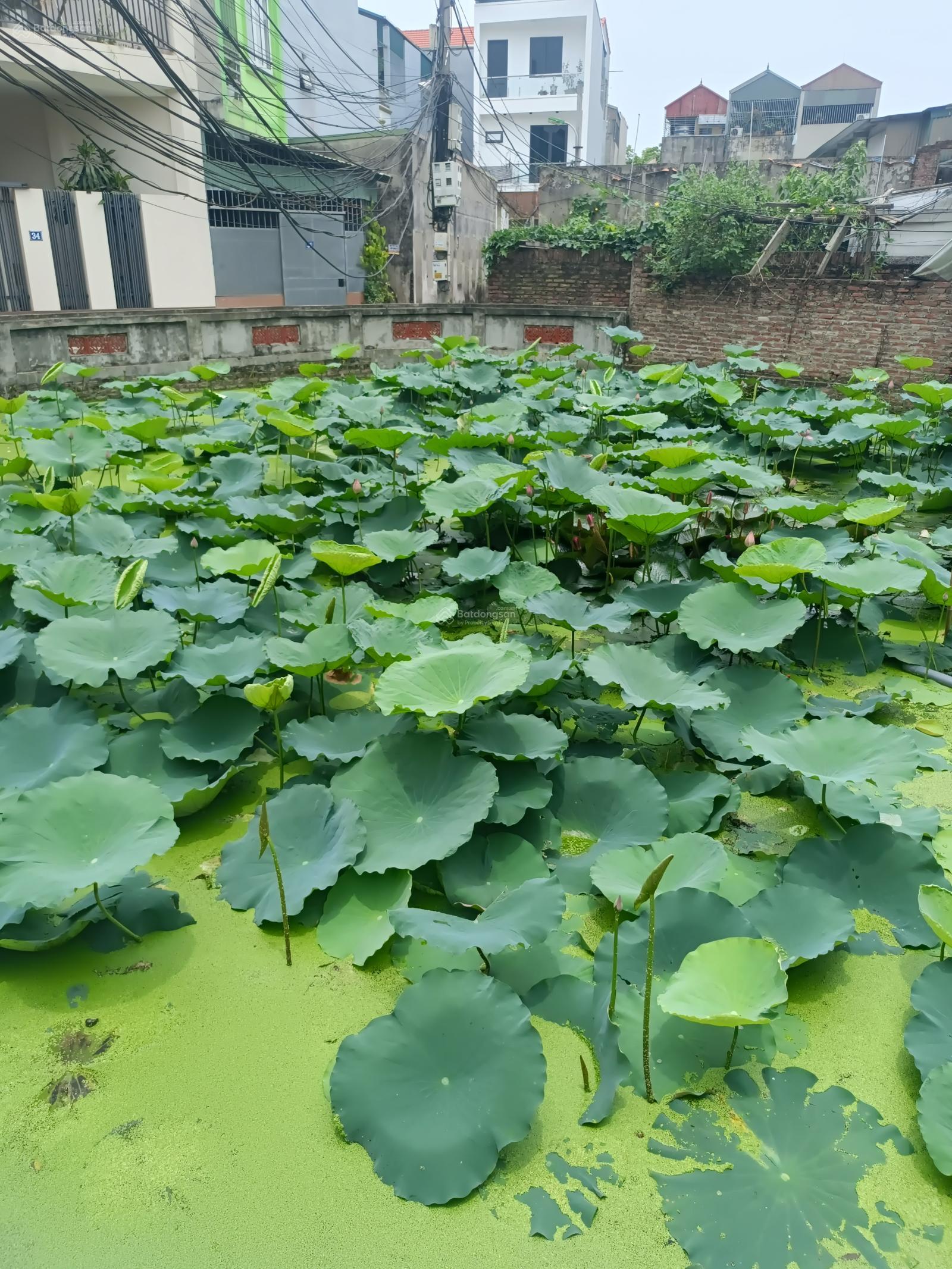 Bán đất gần khu TĐC Liên Ninh Thanh Trì dt; 78m/zá 6,25tỷ, siêu rẻ cho nhà đầu tư