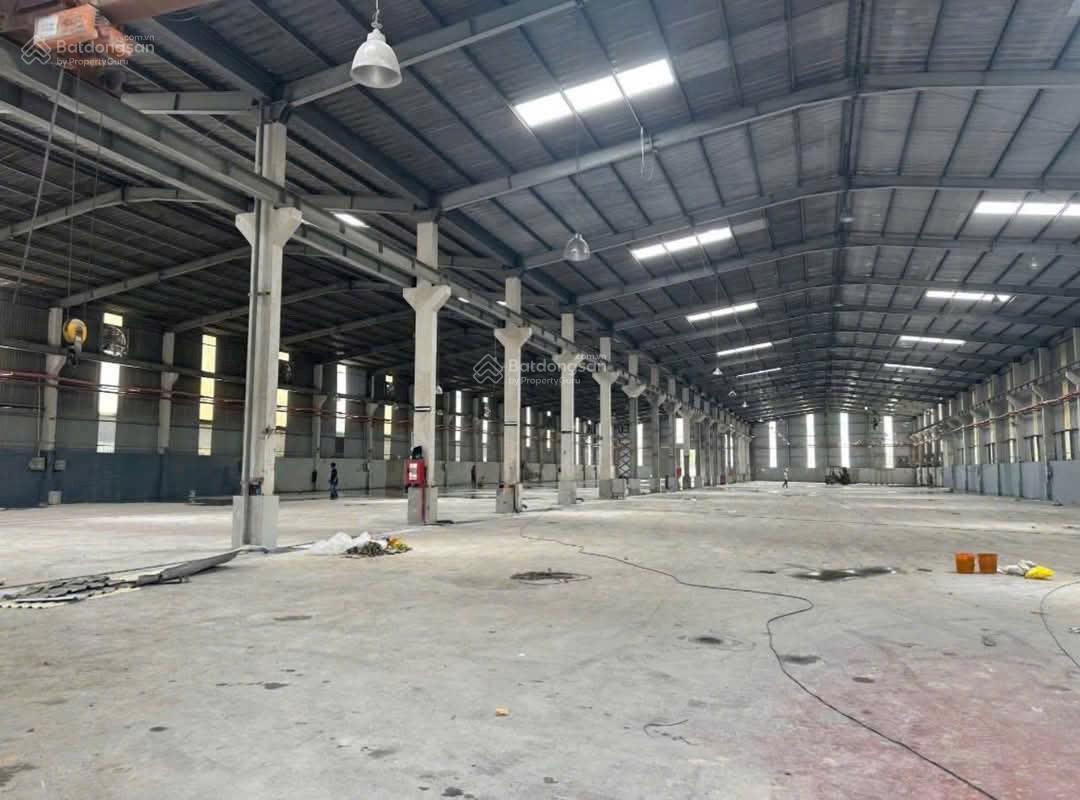 Cho thuê kho, nhà xưởng, đất tại Lê Lợi, Phú Mỹ, Thủ Dầu Một, Bình Dương, giá tốt, 12000m2