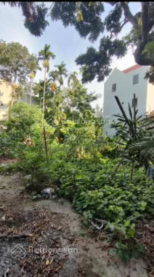 Bán 148m2 đất thổ cư + đất vườn ngõ oto xã Đại Thành Quốc Oai Hà Nội