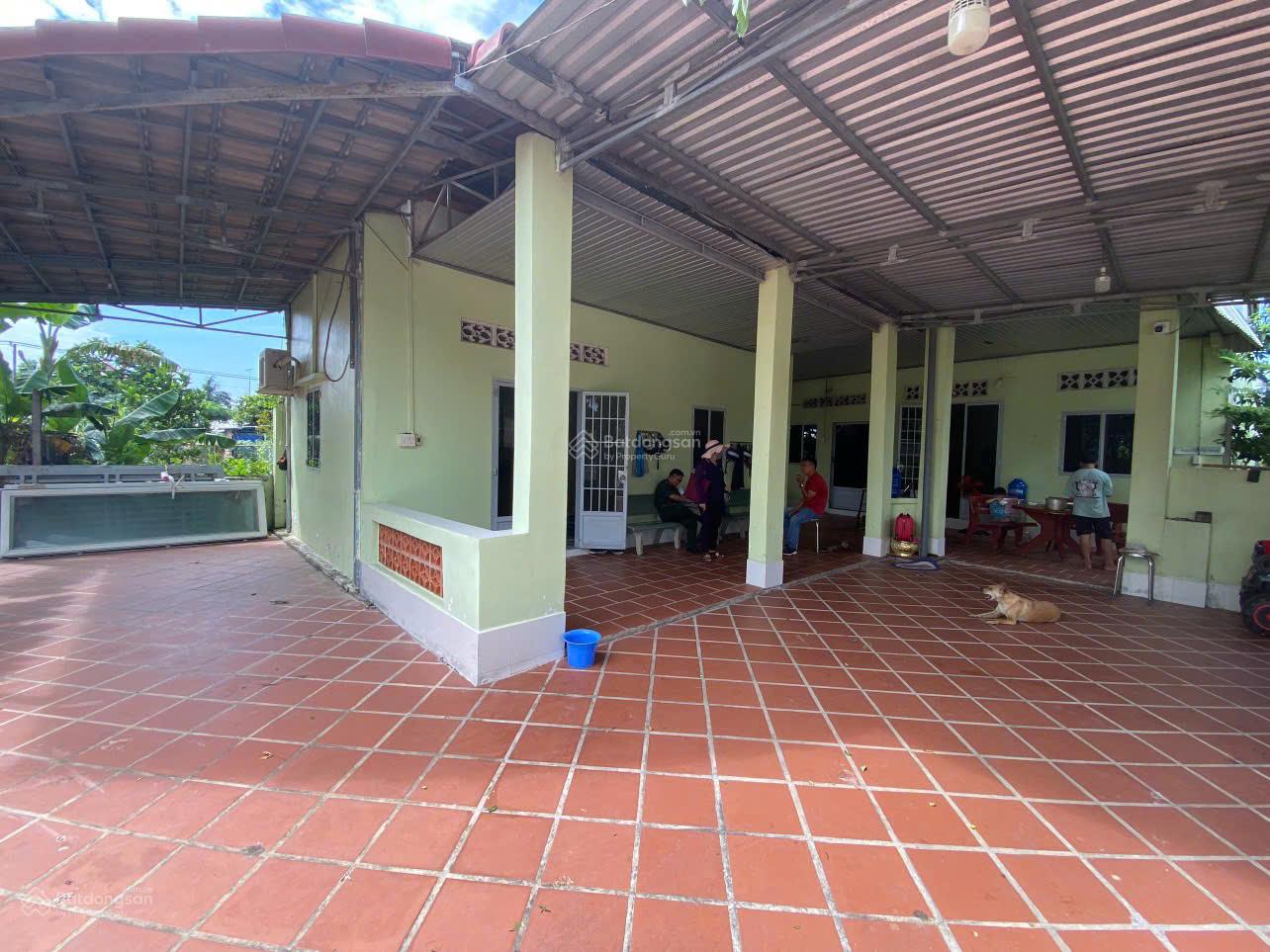 Chính chủ cho thuê nhà vườn đẹp đường 88 vị trí đắc địa xã Tân Phú Trung, Củ Chi, giá chỉ 13tr