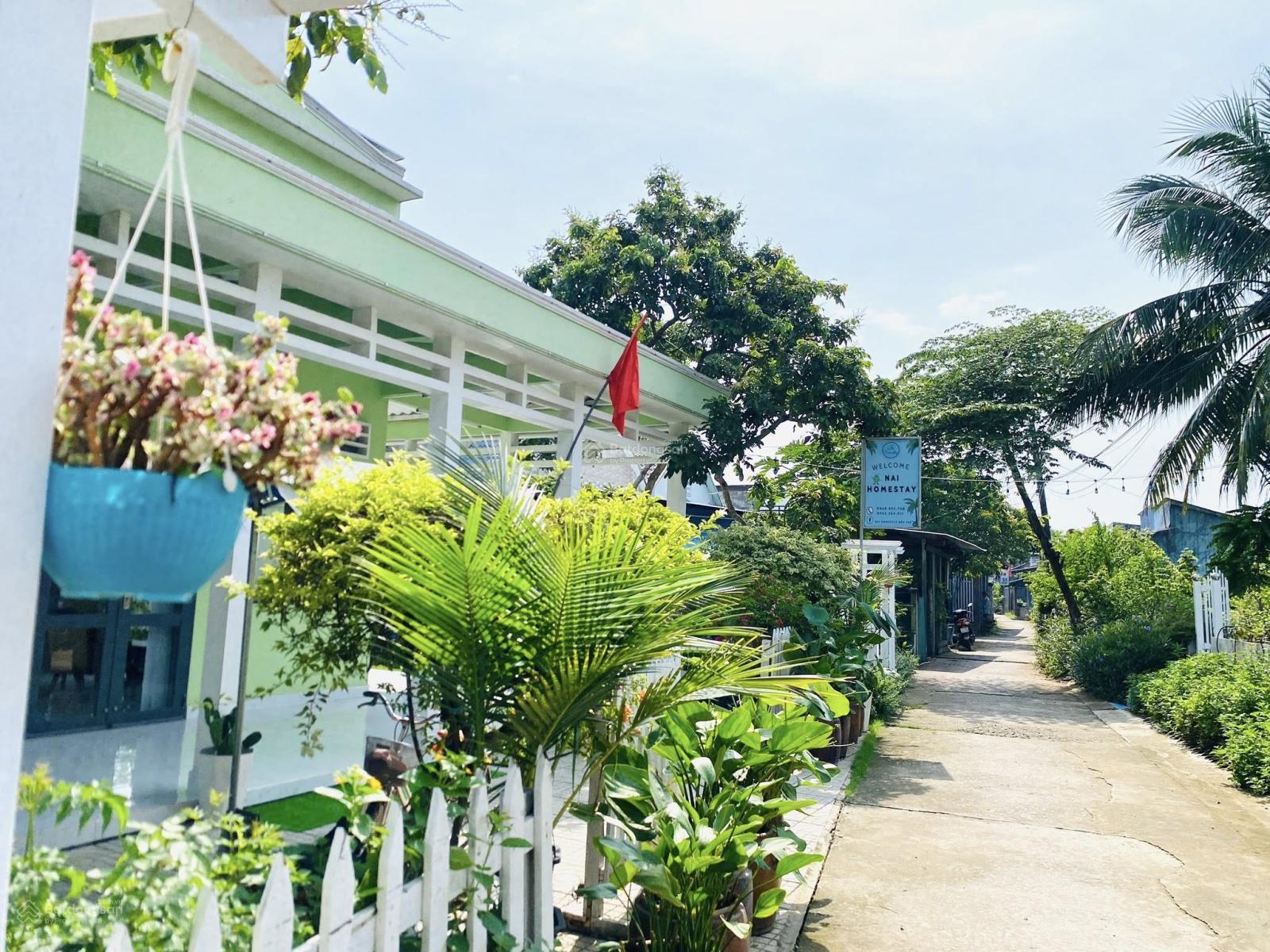 Chính chủ cần bán khu nghỉ dưỡng ven sông Cồn Phụng, Bến Tre