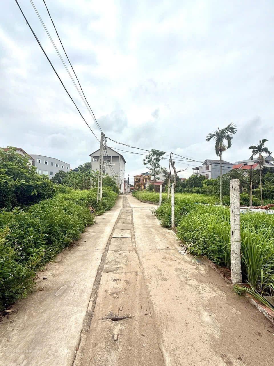 Chủ nhà cần tiền nên bán gấp lô đất tại Thanh Lâm