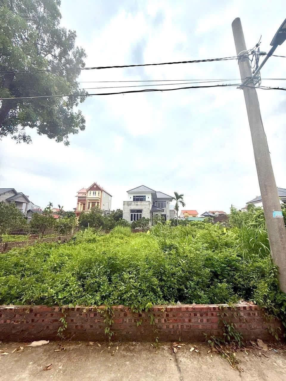 Chủ nhà cần tiền nên bán gấp lô đất tại Thanh Lâm