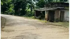 Bán 739m2, 300m2 thổ cư sổ đỏ Hà Nội - view thoáng mát quanh năm đầu tư xây nhà vườn giá rẻ