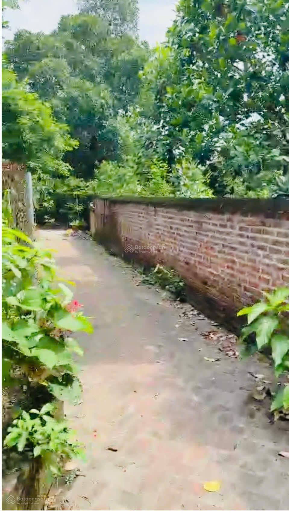 Bán 739m2, 300m2 thổ cư sổ đỏ Hà Nội - view thoáng mát quanh năm đầu tư xây nhà vườn giá rẻ