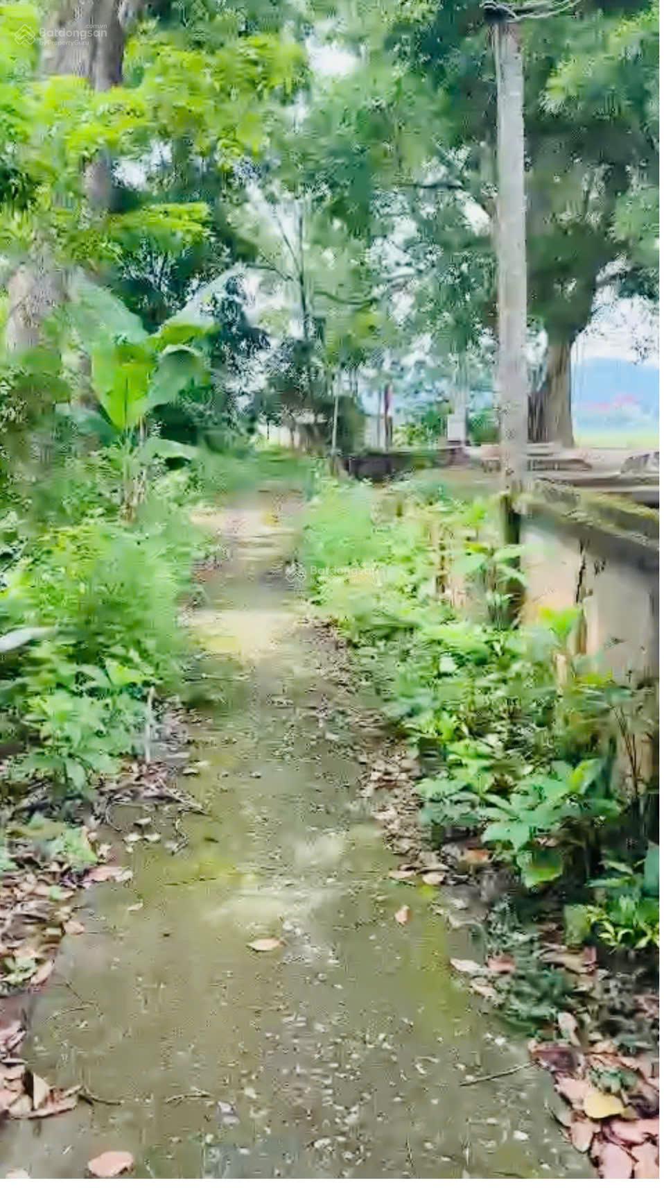 Bán 739m2, 300m2 thổ cư sổ đỏ Hà Nội - view thoáng mát quanh năm đầu tư xây nhà vườn giá rẻ