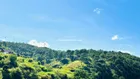 Đất mặt tiền An Bình cách Hồ Xuân Hương 3km, view đẹp 1290m2