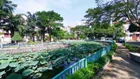 Bán nhà KDC HimLam Tân Hưng Q7. DT 5x20m. Giá 27 tỷ