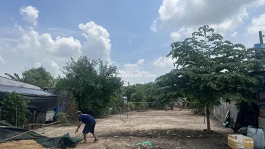 Cho thuê loại bất động sản khác ( Đất) tại Đào Văn Thử, Tân An Hội, Củ Chi, HCM, 15 triệu, 700m2