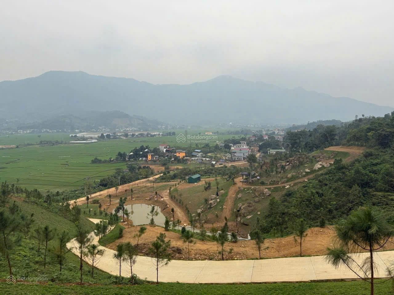 Bán 1,62 ha đất Tiến Xuân Thạch Thất. Vị trí đẹp view thoáng ra cánh đồng