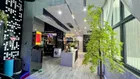 Chính chủ cần bán gấp căn hộ - penthouse Mulberry Lane Làng Việt Kiều Châu Âu - Mỗ Lao - Hà Đông
