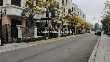 Biệt thự tứ lập Cọ Xanh 119m2 tại Vinhomes Ocean Park 2 giá tốt nhất
