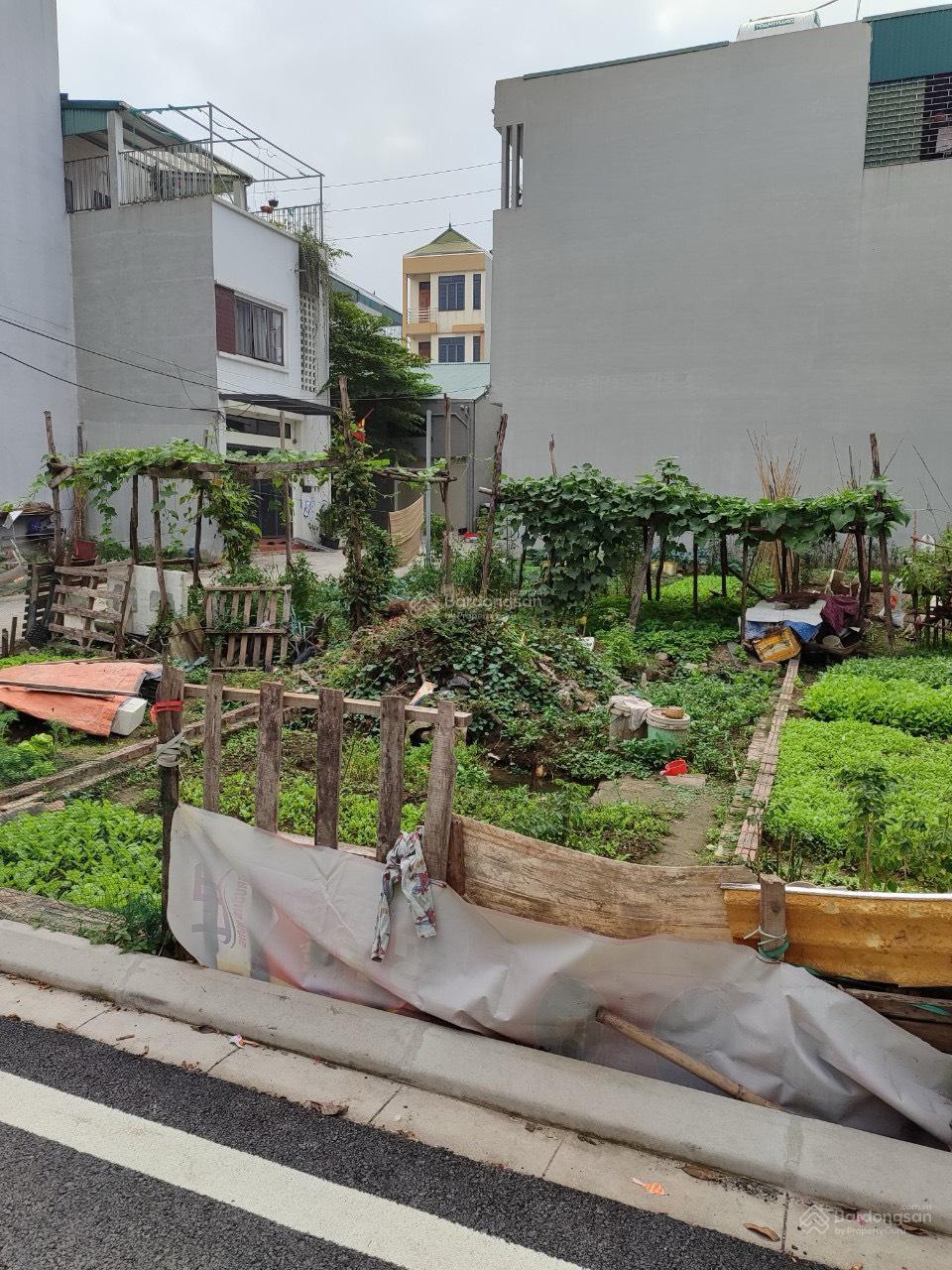 Chính chủ cần bán lô đất 60m2 khu đấu giá Ao Ngòi, Đức Thượng, Hoài Đức, 105 triệu/m2