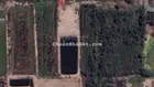Mặt tiền Lý Nhơn, Cần Giờ (2000m2) giá chỉ 6.8 tỷ đáng đầu tư