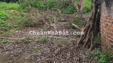 Bán đất trung tâm thị Trấn Kép, Lạng Giang - Bắc Giang. 638m2 - MT 20m. Giá 3,5tỷ
