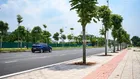 Cần bám lô đất 301m2, ( lô góc 3 mặt thoáng) MT 12m mặt phố Hồng Tiến Long Biên Hà Nội