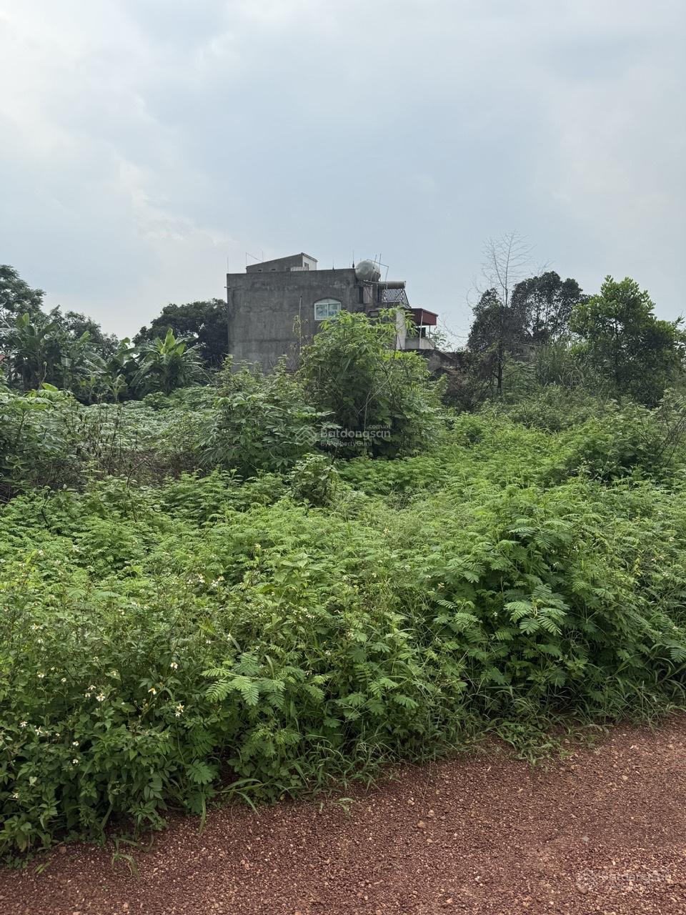 Đất đẹp, giá rẻ tiềm năng tại Kép 11, Lạng Giang, Bắc Giang. DT 115m2 - MT 5m. Giá chỉ 460 triệu