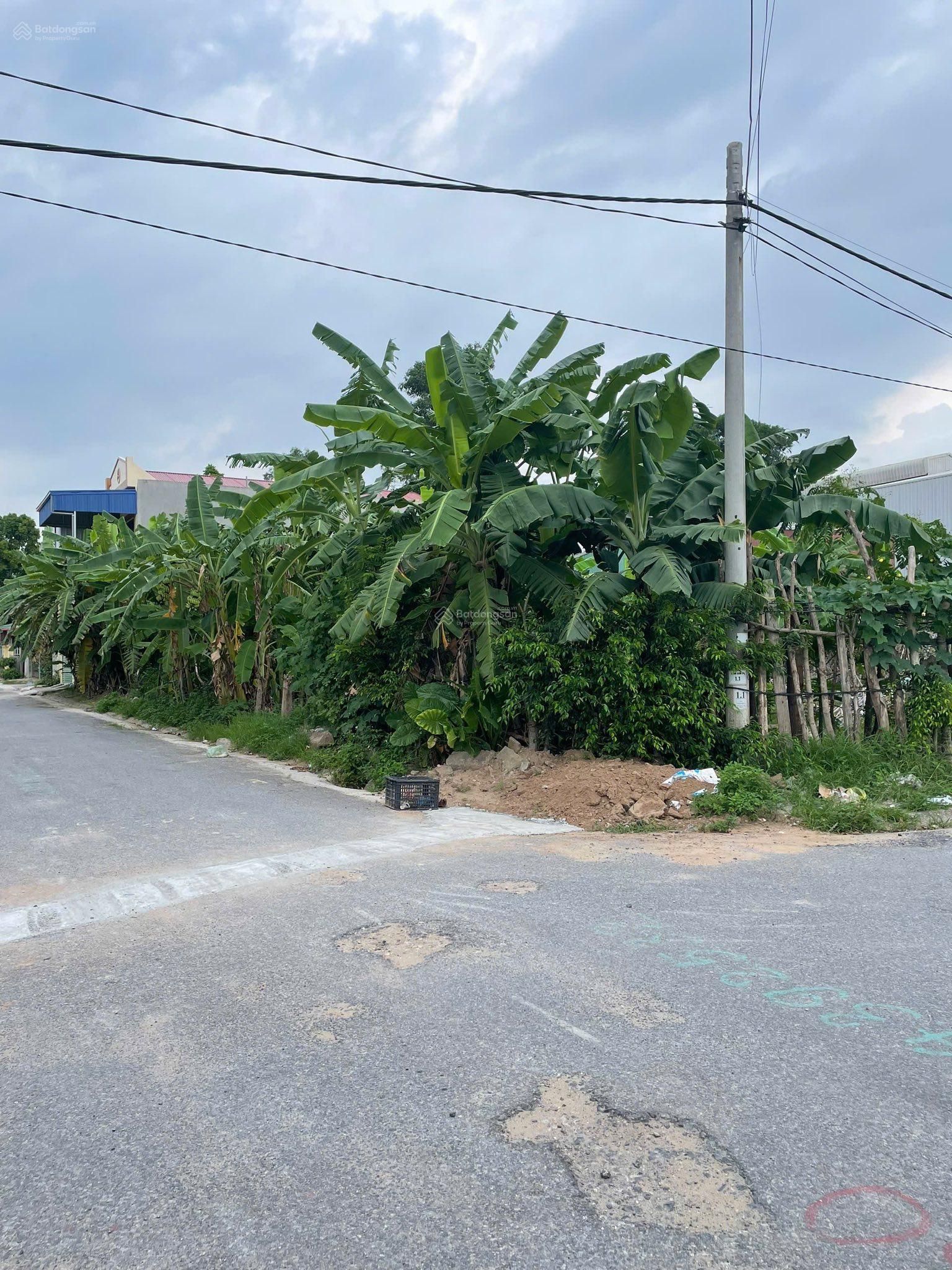 Đất 103m2 đường nhựa 9m Lương Quán, Nam Sơn, An Dương