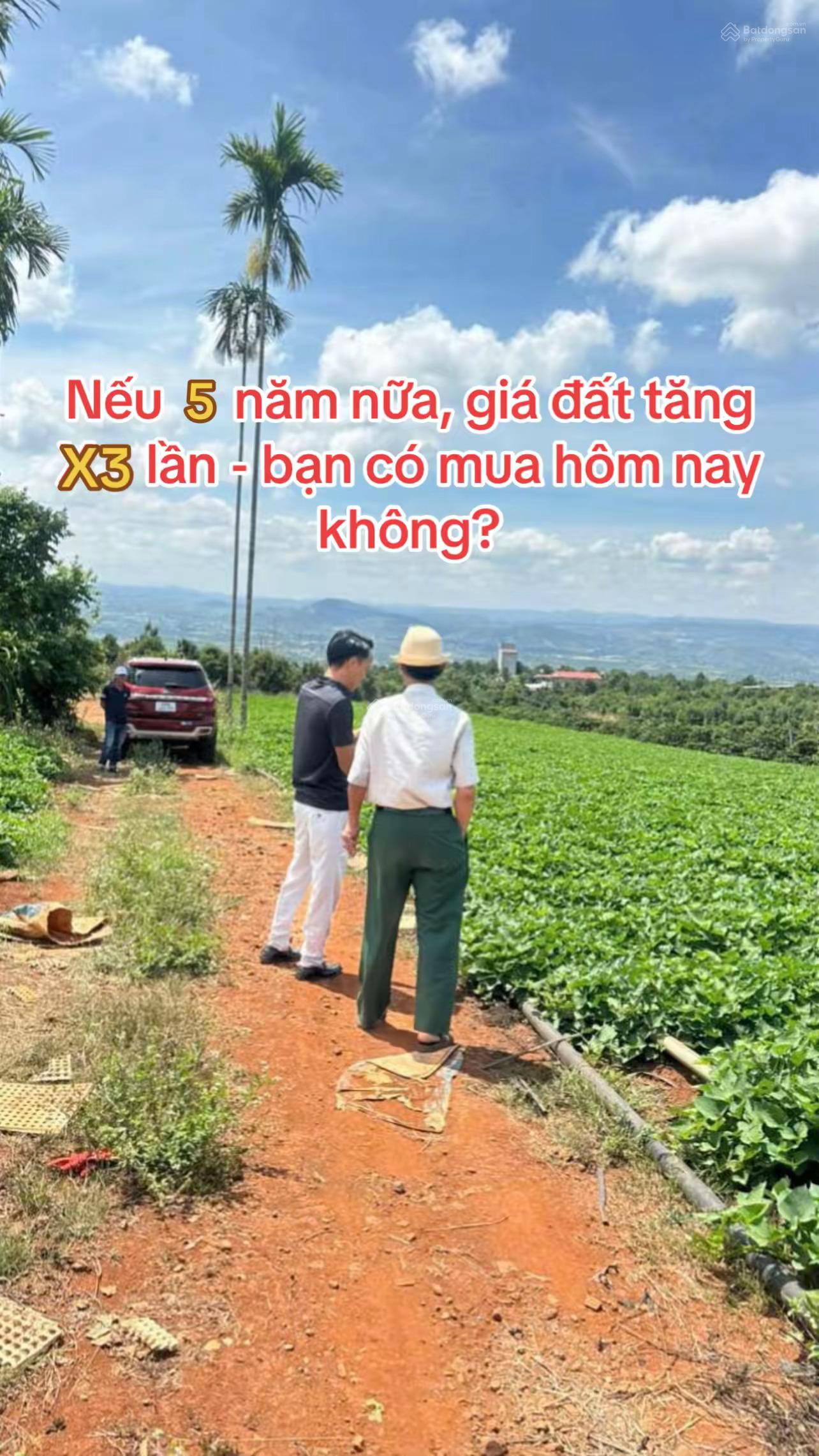 Đầu tư hnay, giá x3 tương lai. Lô 8x31m, mặt tiền Võ Thị Sáu, Tân Văn - 490tr