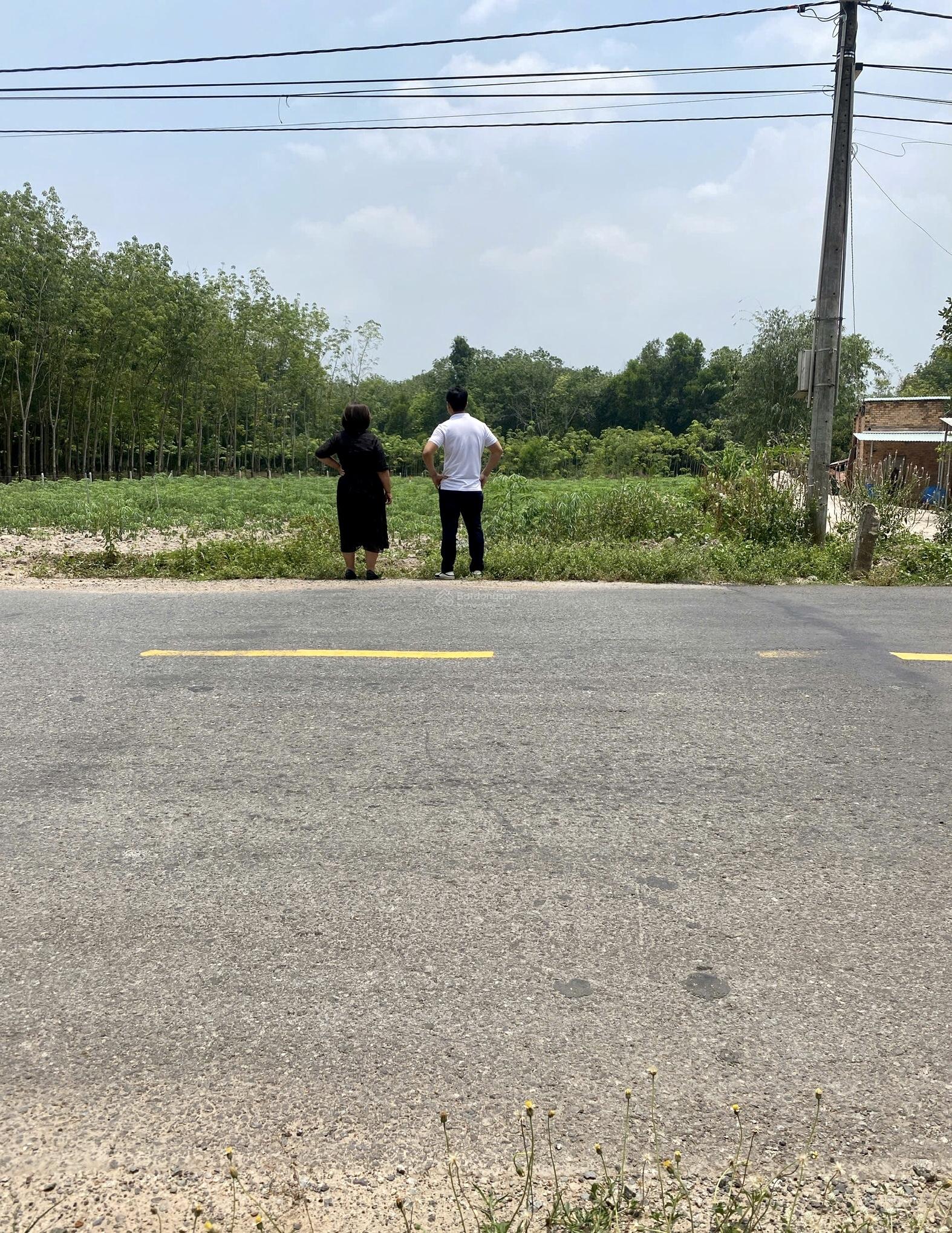 Chủ ngộp cần bán gấp lô đất 1300m2 có 100m2 thổ, mặt tiền DH 722 giá 990tr