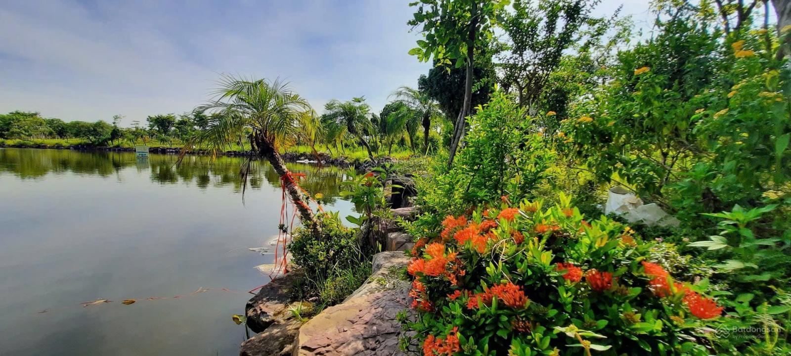 Chính chủ cần tiền bán cắt lỗ biệt thự tại KĐT Từ Sơn Garden City, 41 triệu/m2, 390 m2