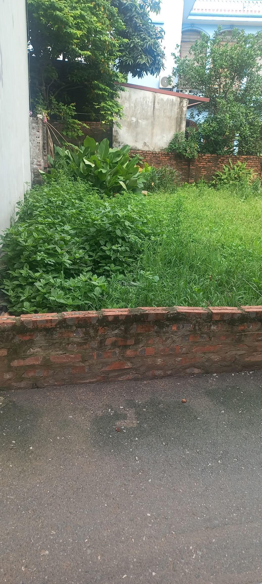 Bán đất Yên Nghĩa, Hà Đông 38m2 ô tô đỗ cửa ngõ thông chỉ 3 tỷ
