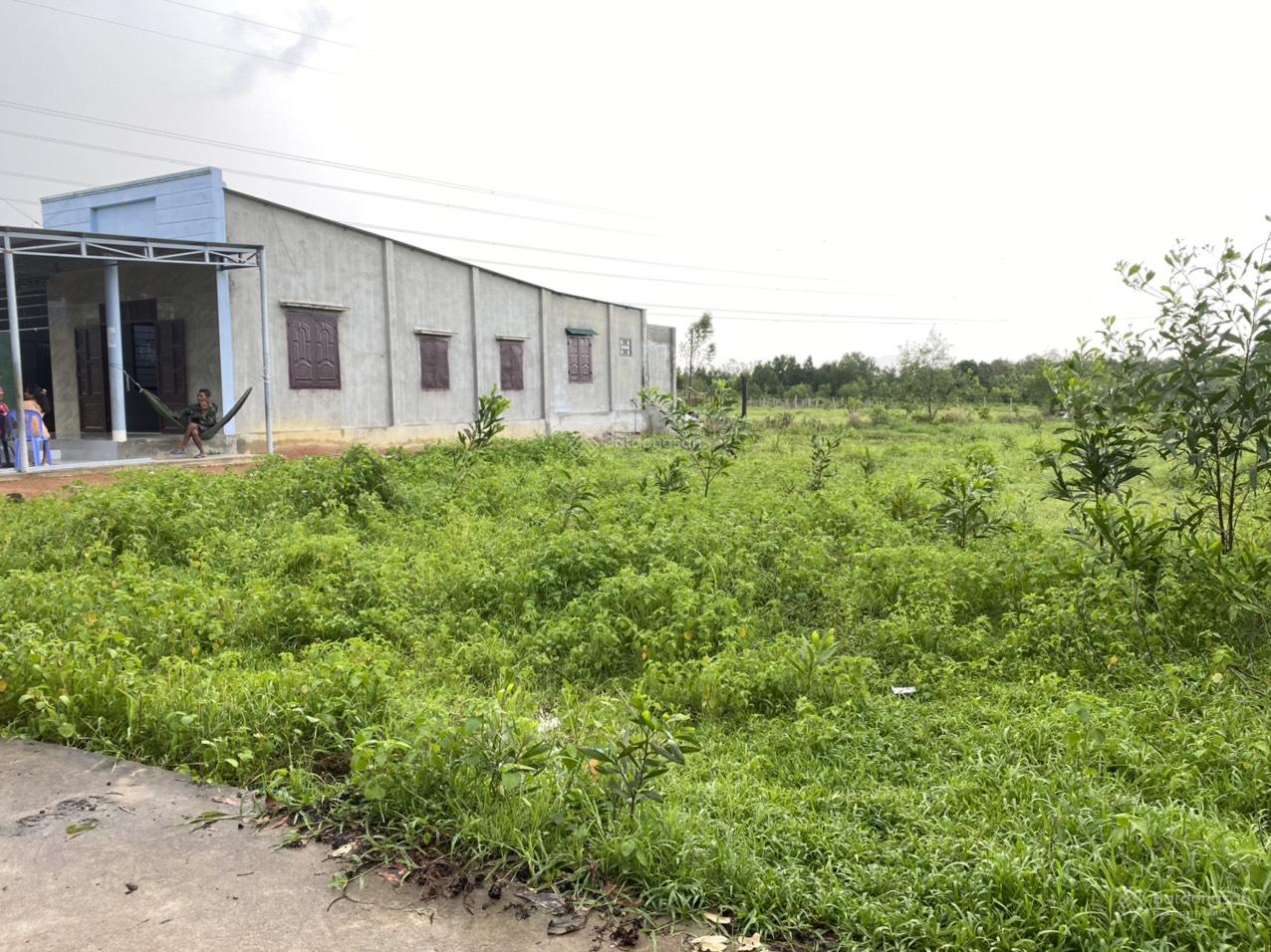 Bán đất 2000m2 tại Tân Hà, Hàm Tân, Bình Thuận, 2,4 tỷ