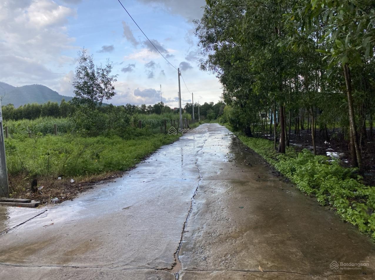 Bán đất 2000m2 tại Tân Hà, Hàm Tân, Bình Thuận, 2,4 tỷ